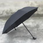 Umbrella