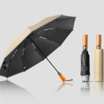 Umbrella