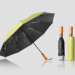 Umbrella
