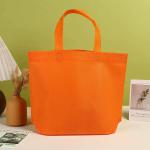 Cavas bag